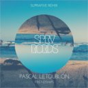 Pascal Letoublon - Friendships (Suprafive Remix)