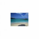 Mindfulness Healing BGM Project - Cancer & Stress Free