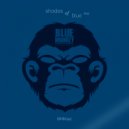 Distek - Star Blast 2000