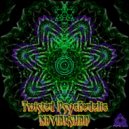 Kaviarshan - Naasoot (Original Mix)