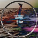 Giusepperino - What You Want