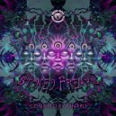 Balliou - Shamanic Story