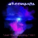 Greenmamba - Creative Mind (Original Mix)