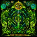 Suke - Experimental Process