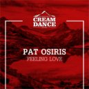 Pat Osiris - Slang Term (Original Mix)