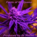 Dr. House - Facts of Marijuana (Original Mix)