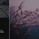 Soire - Changes