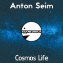 Anton Seim - Cosmos Life (Original Mix)