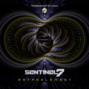 Sentinel 7 - Entanglement (Original Mix)