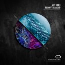 Vily Vinilo - Hidden Moon