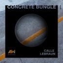 Calle Lebraun - Concrete Bungle