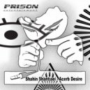 Shahin Shantiaei - Hair Raiser (Original Mix)