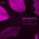Cøncenträte - Watergate (Yuuki Hori Remix)