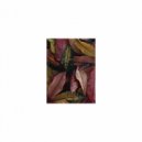 Mindfulness Healing BGM Project - Amino Acid & Delicateness (Original Mix)