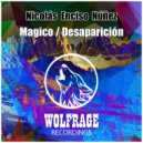 Nicolás Enciso Núñez - Desaparición