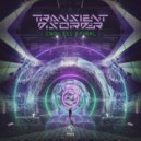 Space Buddha - No Shields (Transient Disorder Remix)