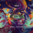 Brlee - Visions