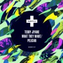 Teddy Jiyane - Pelican (Original Mix)