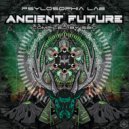 Overdimension - The Past Returns (Original Mix)