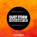 Quiet Storm - I Could Almost Cry (SoulShaker Remix)
