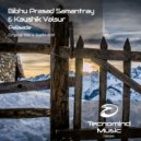 Bibhu Prasad Samantray & Kaushik Valsur - Palisade (Radio Edit)