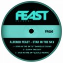 Altered Feast - Dub In The Sky