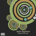 Sipho Ngubane ft Dindy - You've Been There