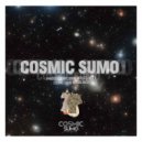 Rucci & Fedeli - I Need Your Love