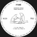 Lebedev (RU) - Northern Lights