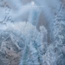 Reggy Van Oers - Trellis