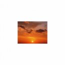 Mindfulness Healing BGM Project - Daffodils & Stress Free (Original Mix)