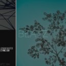 Ayman Nageeb - Ethnic Sun (Soul Trip Remix)