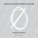 Skyland Mountain - Oscillation (Company Is Family Remix)