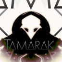 Tamarak - Mirror Stone