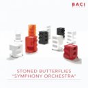 Stoned Butterflies - Simphony Orchestra (Original Mix)