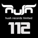 Andruss, Flashingroof - Time & Space (H.A.N.T. & Gentle Velvet Remix)