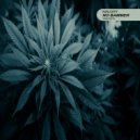 Ninjury - No Bammer (Radio Mix)