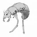 Thinktank - Subterranean Termite Workers