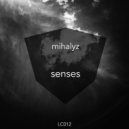 Mihalyz - Senses