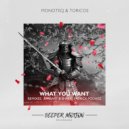 Monoteq & Toricos - What You Want (Patrick Podage Remix)