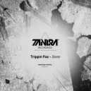 Trippin Fox - Stunner (DJ Dextro Remix)