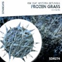 KBK Feat. Wiktoria Betlinska - Frozen Grass (Dub Mix)