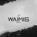 Waimis - Downfall (Original Mix)