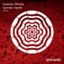 Nick Edwardson - A Night In Rome (Drosoxide Remix)