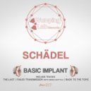 Schädel - Back To The Topic (Original Mix)