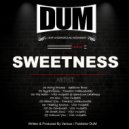 Tomasz Wakulewski - ByrdsVision