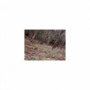 Mindfulness Healing Bgm Project - Azalea & Self Talk