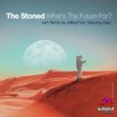 The Stoned featuring Deja - What\'s The Future For? (Jeffrey Tice Remix)
