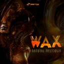 WAX (BR) - Composer (Original Mix)