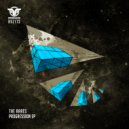 The Rares - Acid Progression